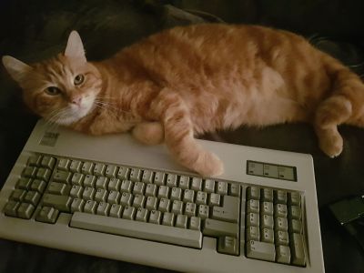 Model F AT 
